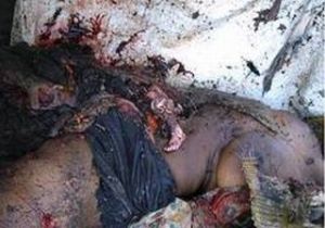srilankan tamils genocide 
